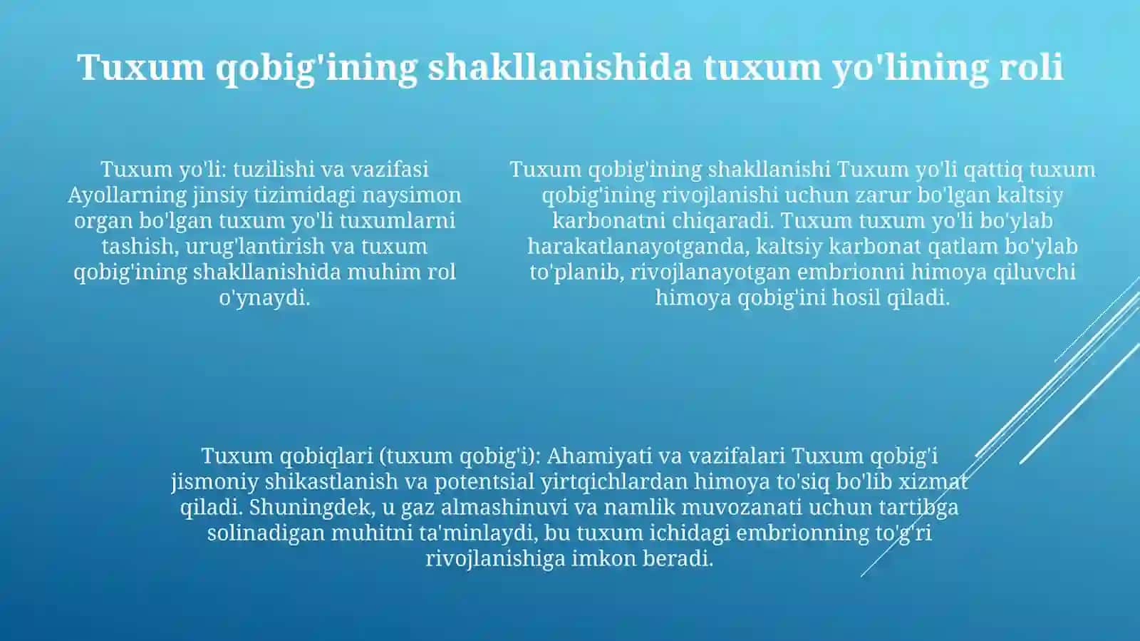 Tuxum Xujayraning Qobiqlari Va Ularni Shakllanishi 4