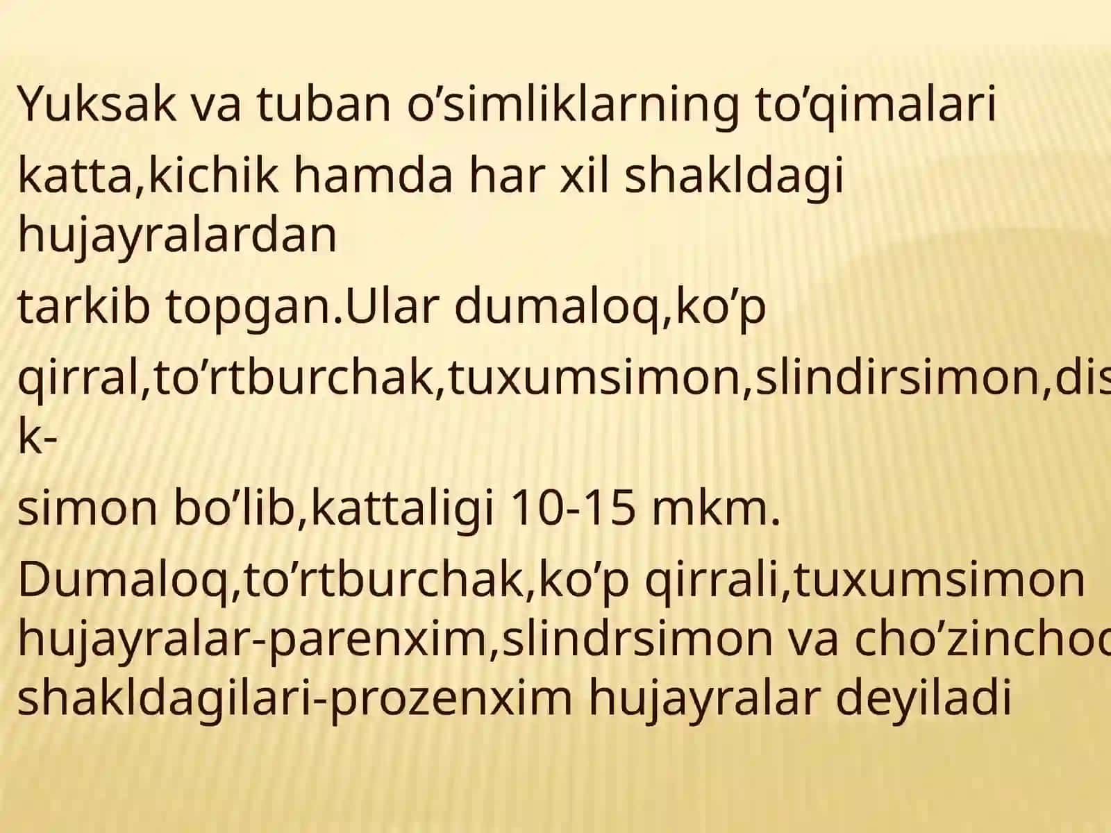 FARDU TABIIYOT GEOGRAFIYA FAULTETI 4