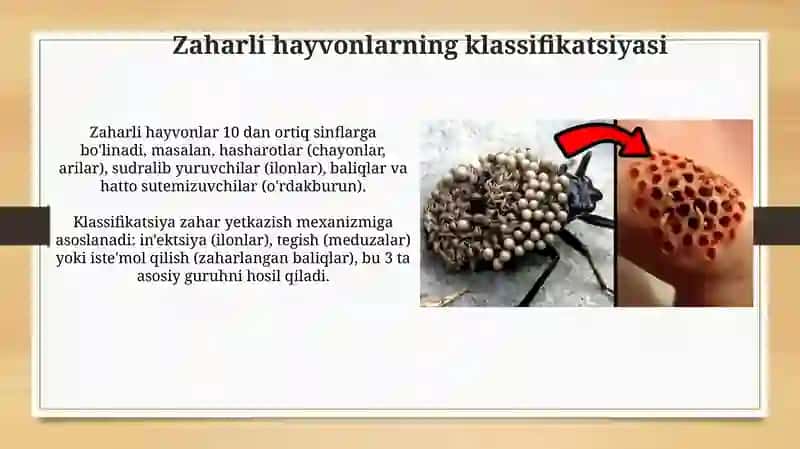 Tibbiy biologiya: zaxarli hayvonlar 4