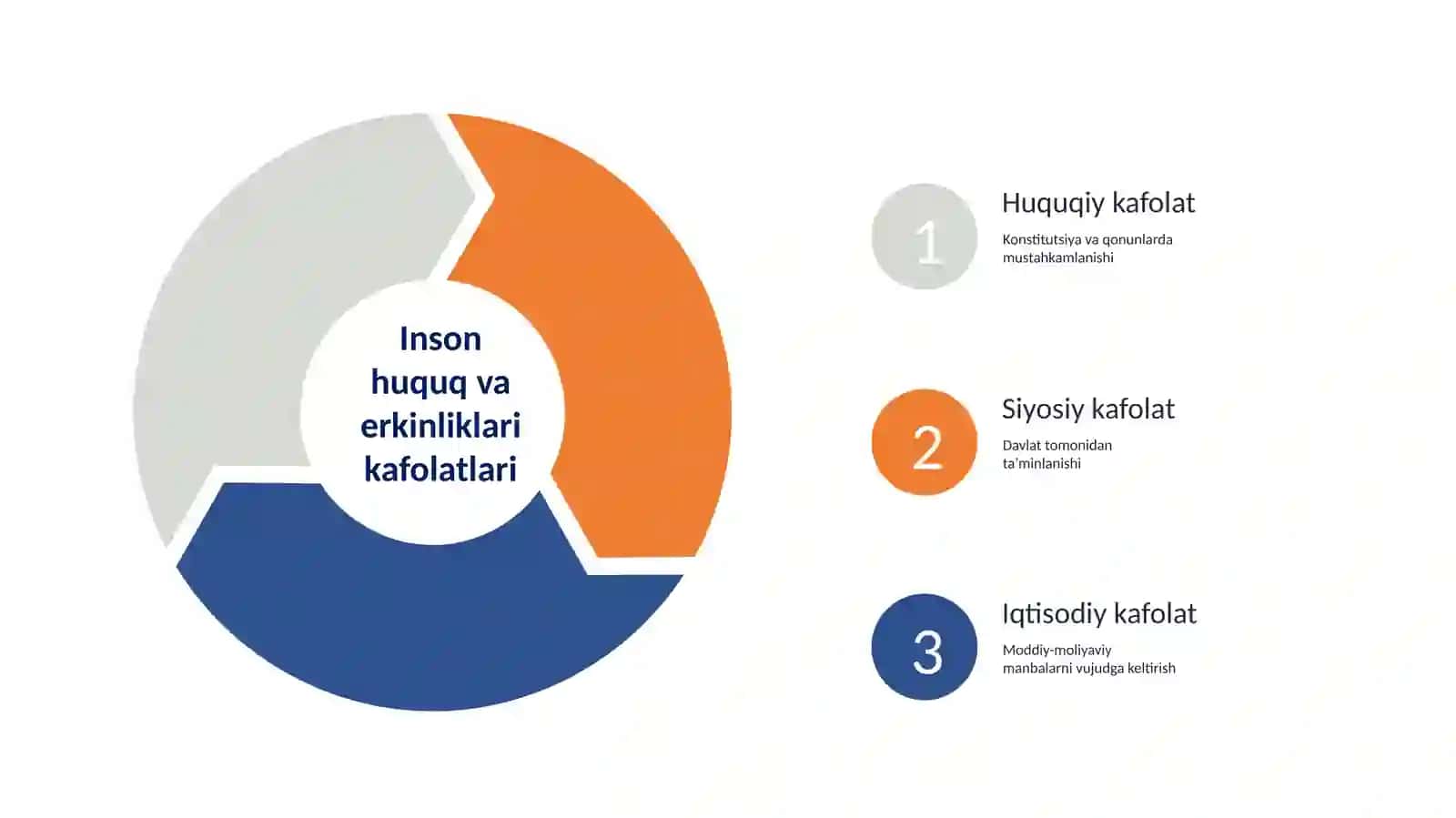 Yangi konstitutsiyada fuqarolarning huquq va erkinliklar kafolati 4