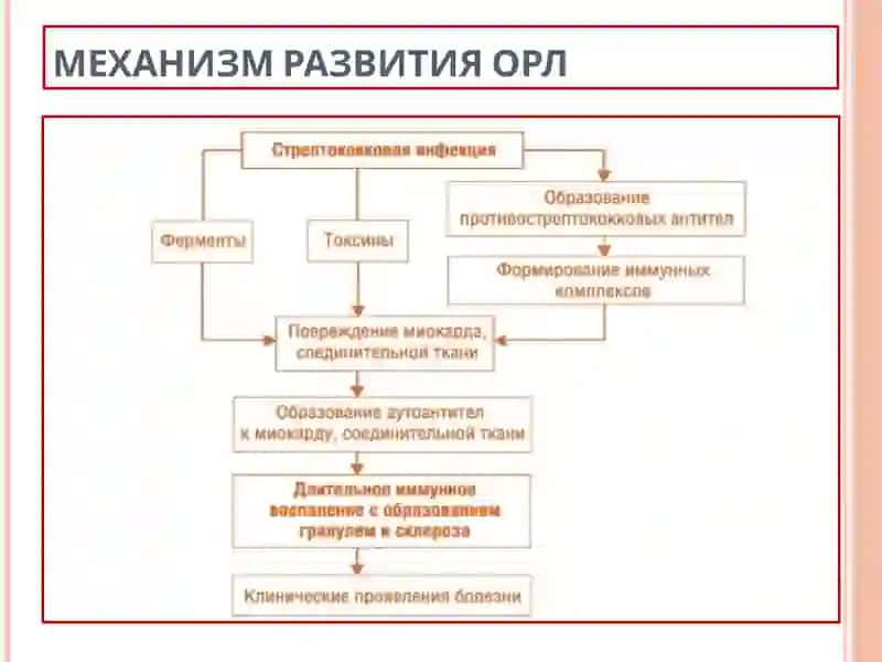 ОСТРАЯ РЕВМАТИЧЕСКАЯ ЛИХОРАДКА, ОПРЕДЕЛЕНИЕ 4