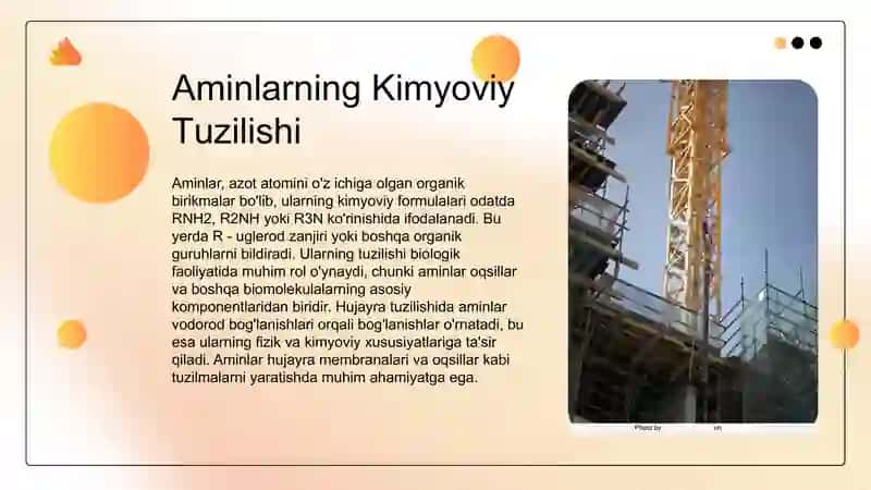 Aminlar 4