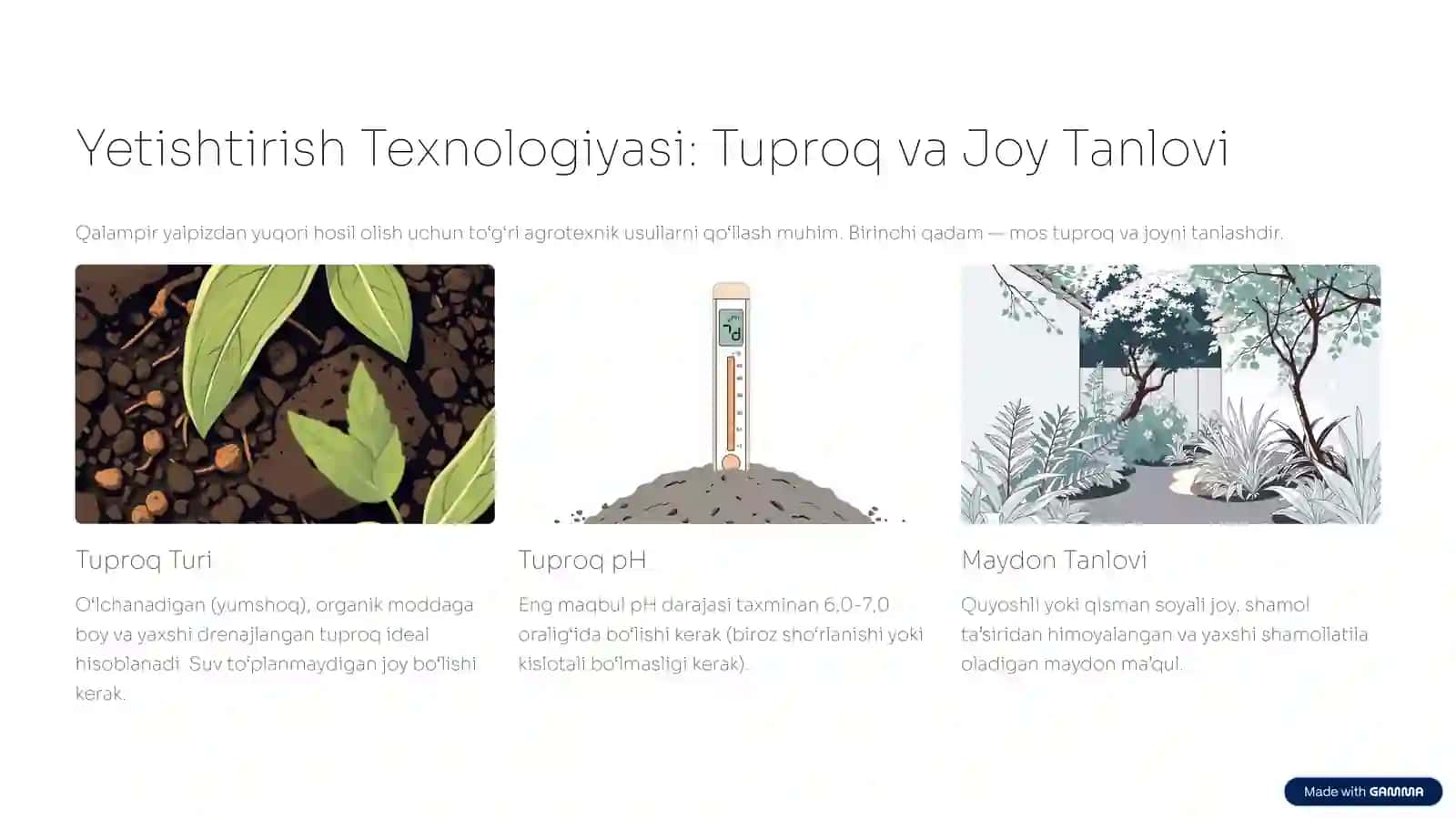 Qalampir Yalpiz: Botanik Tavsif va Yetishtirish Texnologiyasi 4