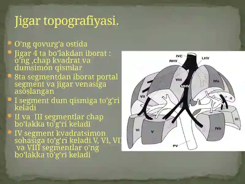 Jigardiffuz kasalliklarining ultraşonografik diagnostikasi 4
