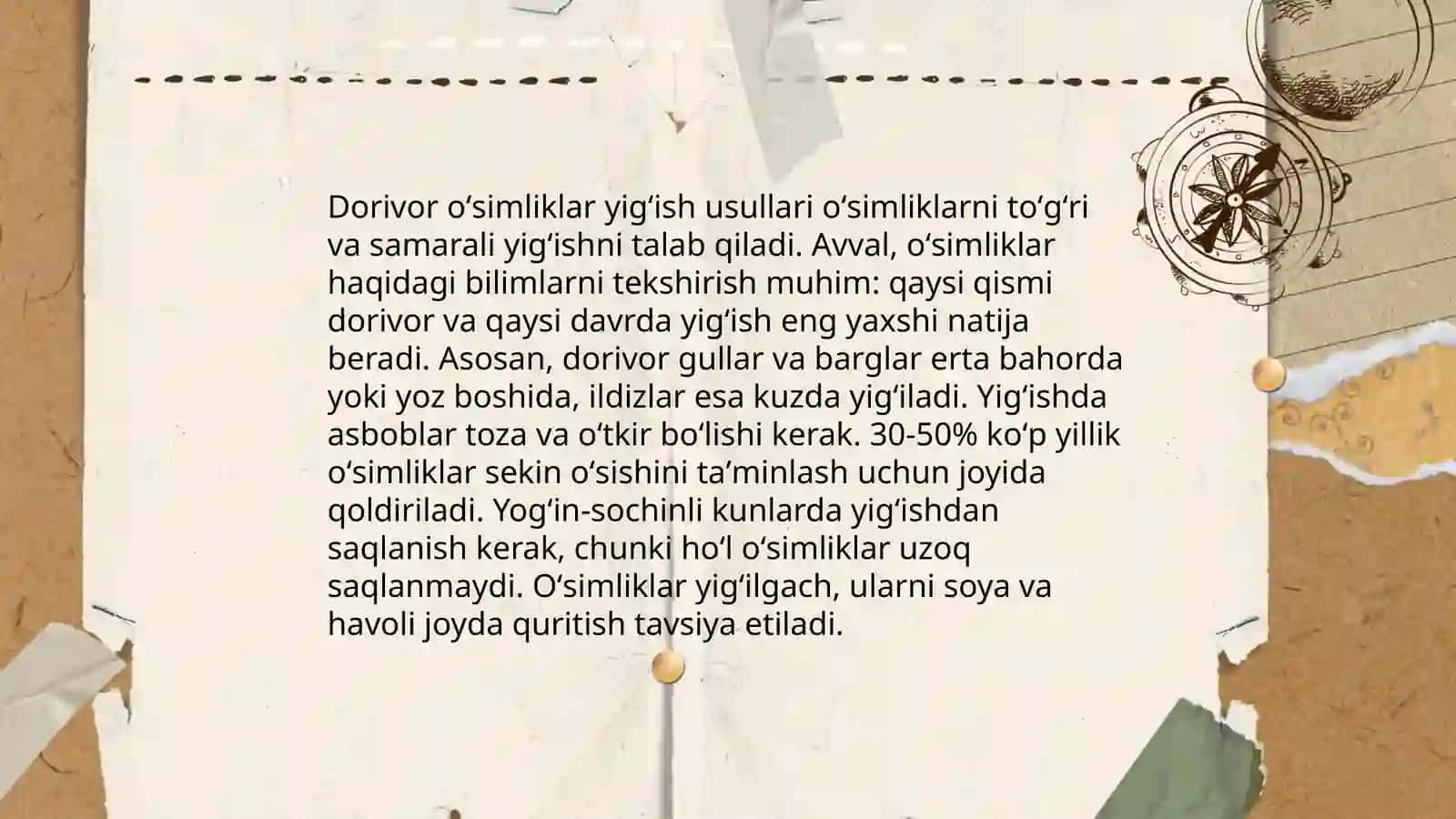 Dorivor oʻsimliklar xom ashyosini tayorlash 4