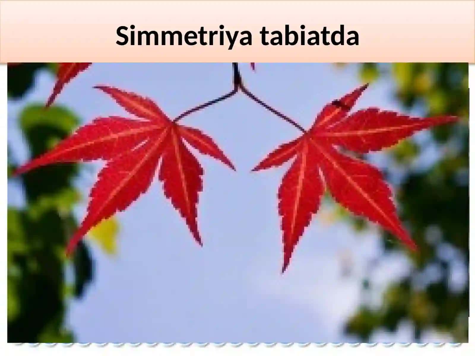 1-sinf “simmetrik figuralar” mavzusini o’tish metodikasi va unga mos didaktik va tarqatma materiallar tayyorlash usullari 4