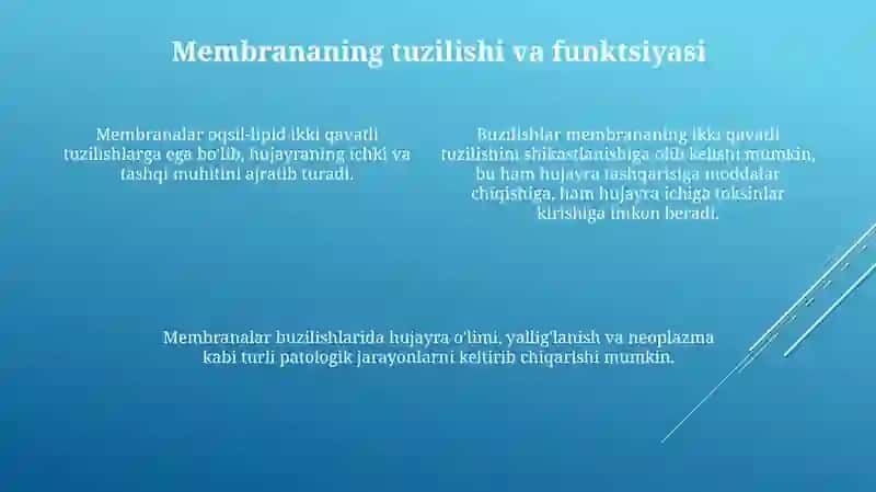 Membranalar Buzilishlarini Potologik Jarayonning Kelib Chiqishidagi O’Rni 4