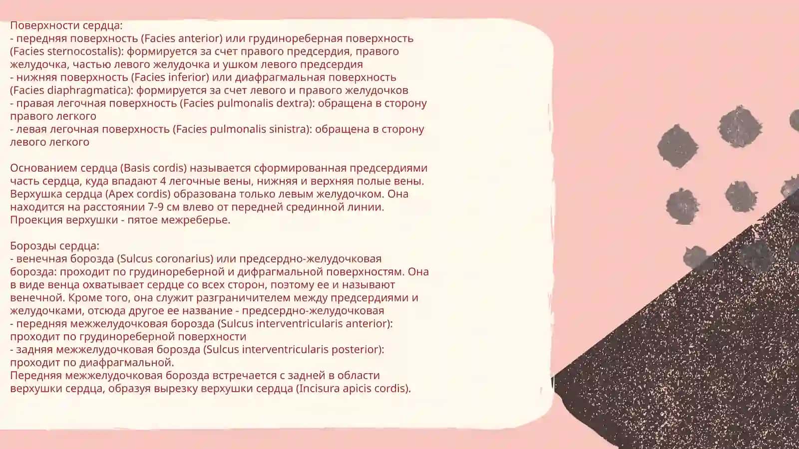 КРУГИ КРООБРАЩЕНИЯ.СЕРДЦЕ,ВОЗРАСТНЫЕ ИЗМЕНЕНИЯ У ДЕТЕЙ РАЗЛИЧНОГО ВОЗРАСТА 4