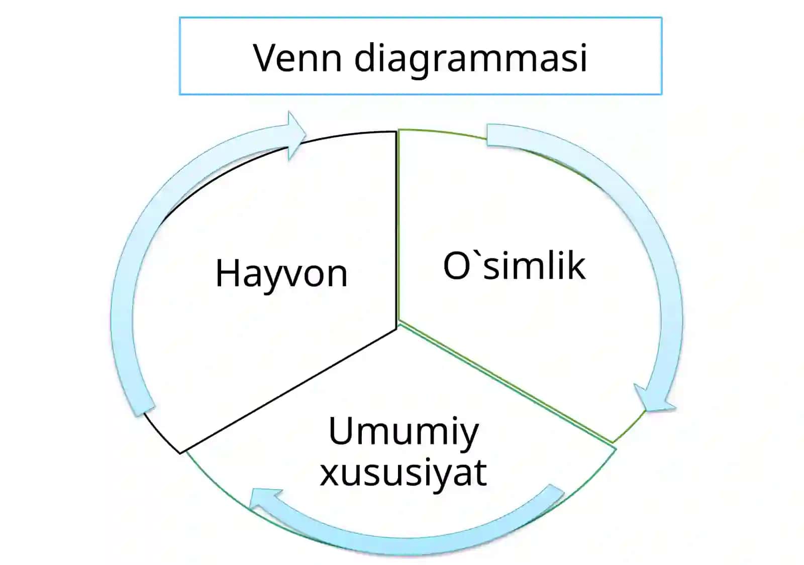 Hayvon organizmi tuzilishi. Hayvonlarni klassifikatsiya qilish 4
