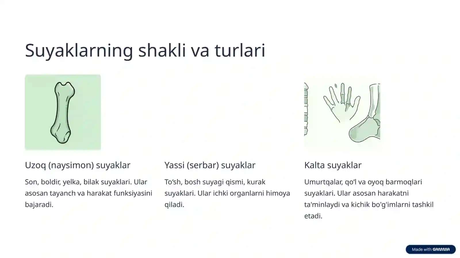 Suyakning turlari va vazifalari 4