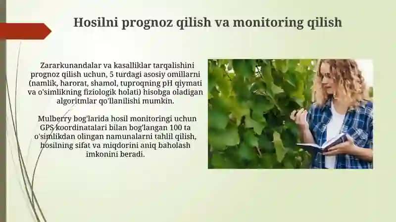 Tuproq va O'simlik Tahlilining Ahamiyati 4