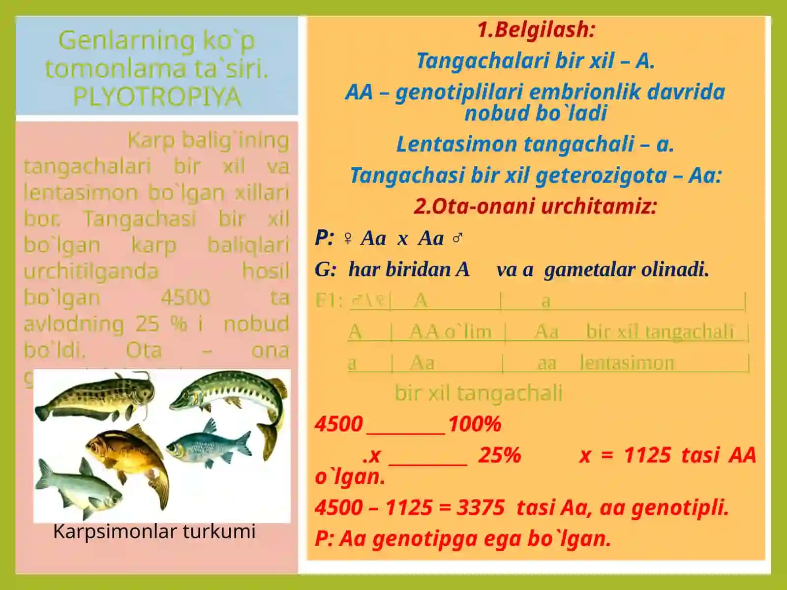 NOALLEL GENLARNING PLEYOTROP TA`SIRI 4