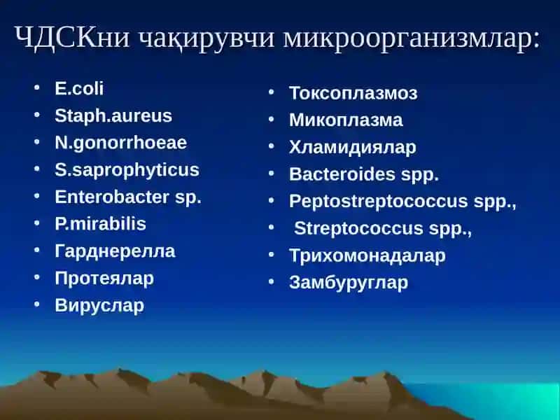 Чилла даври инфекциялари 4
