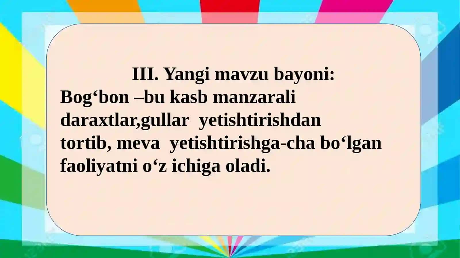 Bog‘bon 4