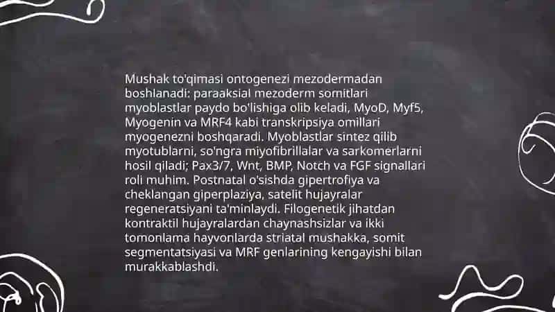 Tayanch -harakat tizimi onto- filogenezi 4
