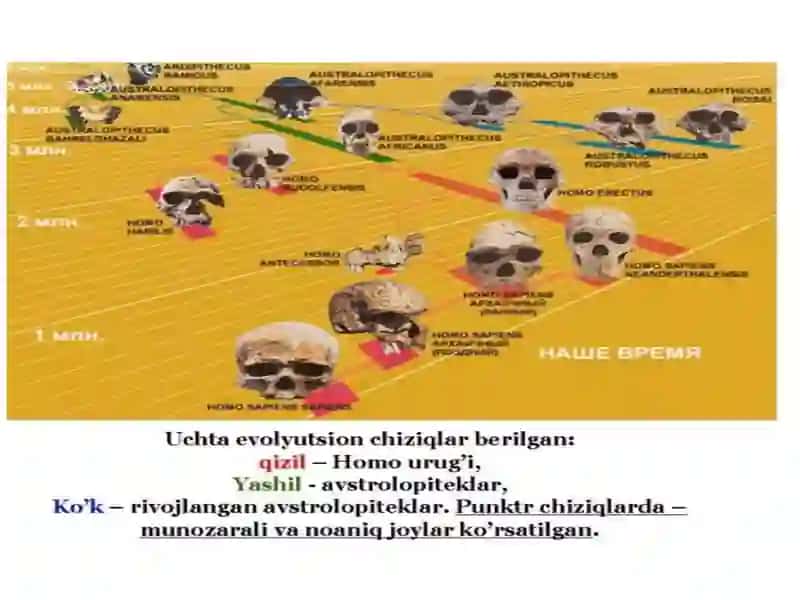 OʻRTA OSIYO ARXEOLOGIYASI 4