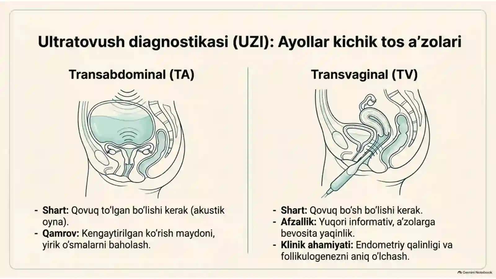 Reproduktiv tizim kasalliklari nur tashxisoti — zamonaviy diagnostika 4