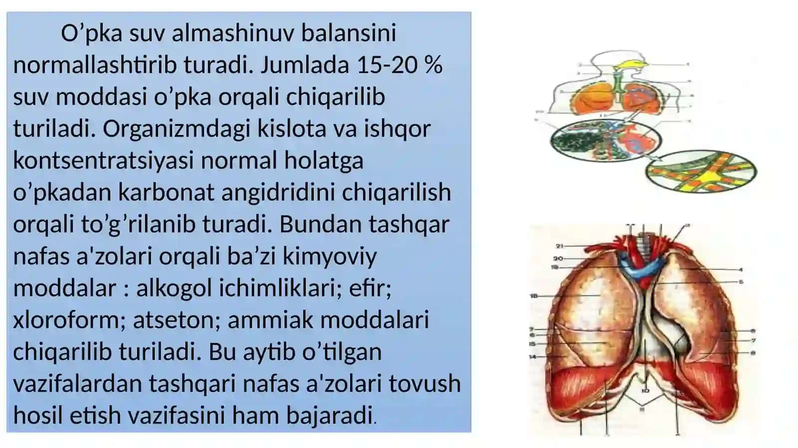 Ayiruvvanafastizimlariningyoshxususiyatlarivagigiyenasi 4