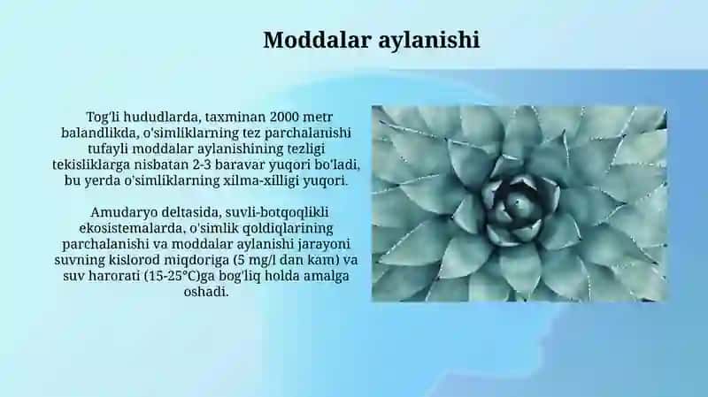 Oʻsimliklar ekologiyasi asoslari 4