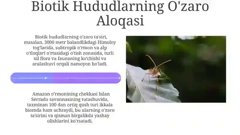 Yer Biotik Hududlarining O'zaro Aloqasi 4