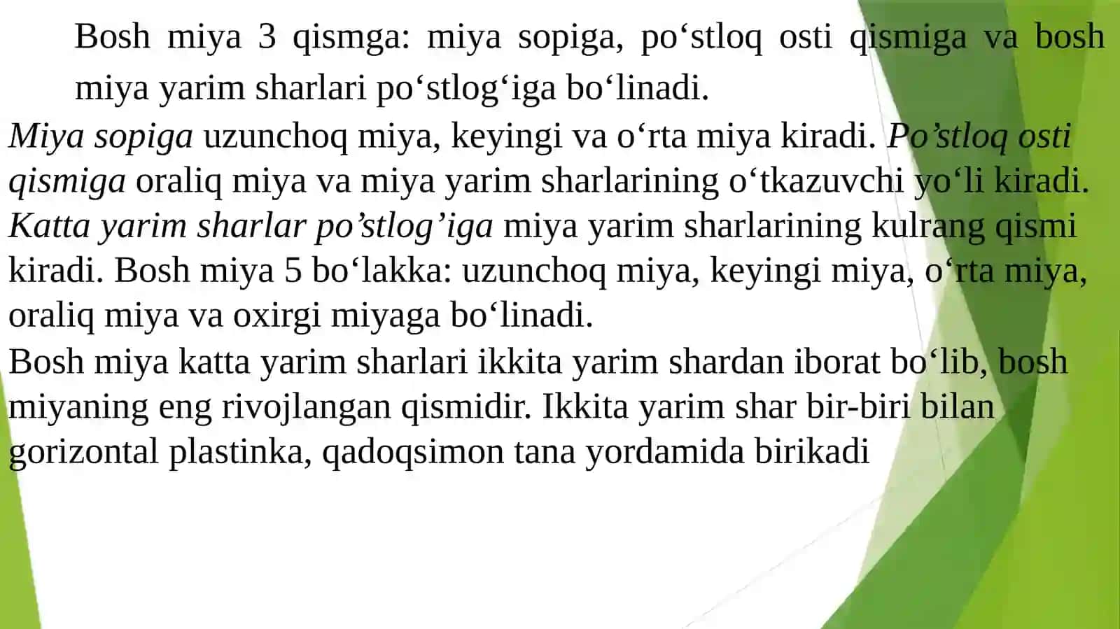 Bosh Miya Nervlarning Tuzilishi 4