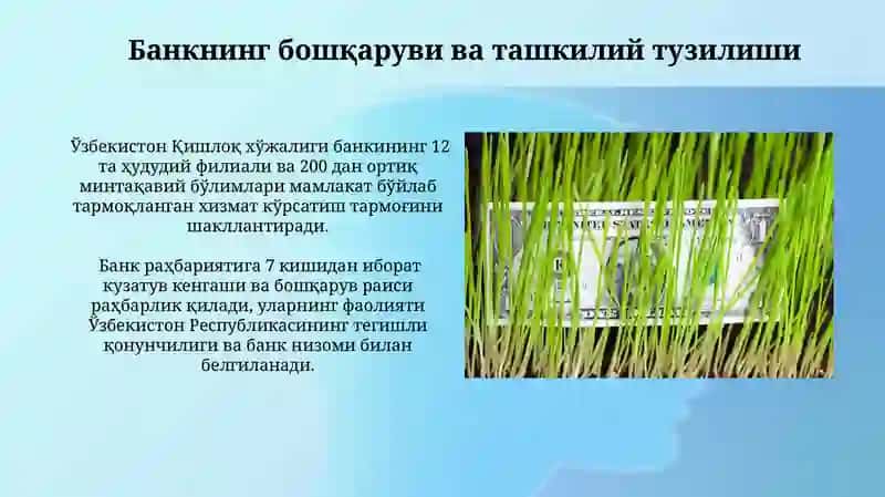 Agrobank 4