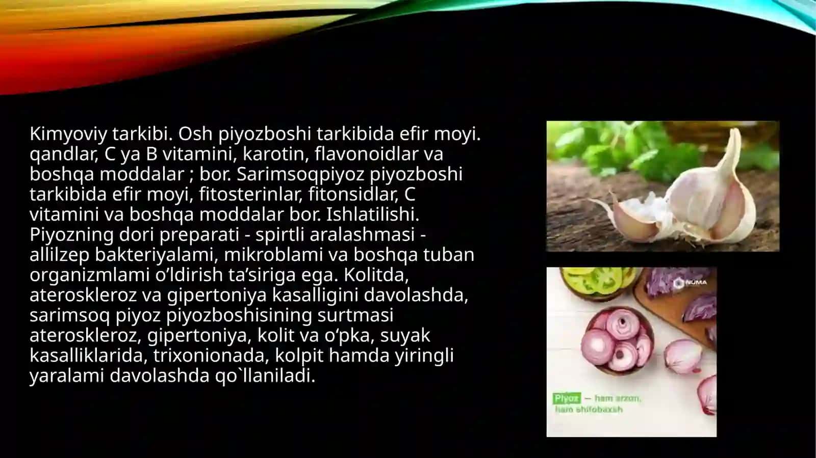 Piyozdoshlar oilasi vakillari va ularning dorivorligi,ekish texnologiyalari 4