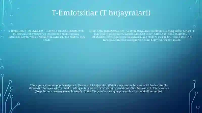 Limfotsitlarning Populatsiyalari Va Subpopulatsiyalari 4