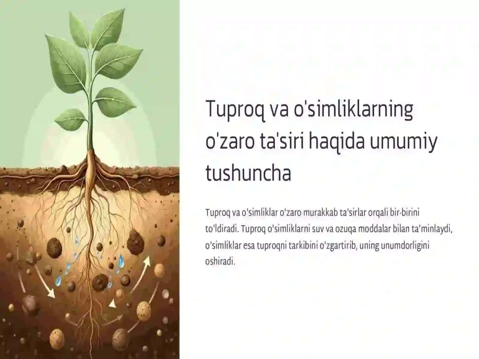 Okruglar boʻyicha tuproqlarning muammolarini oʻrganish 4