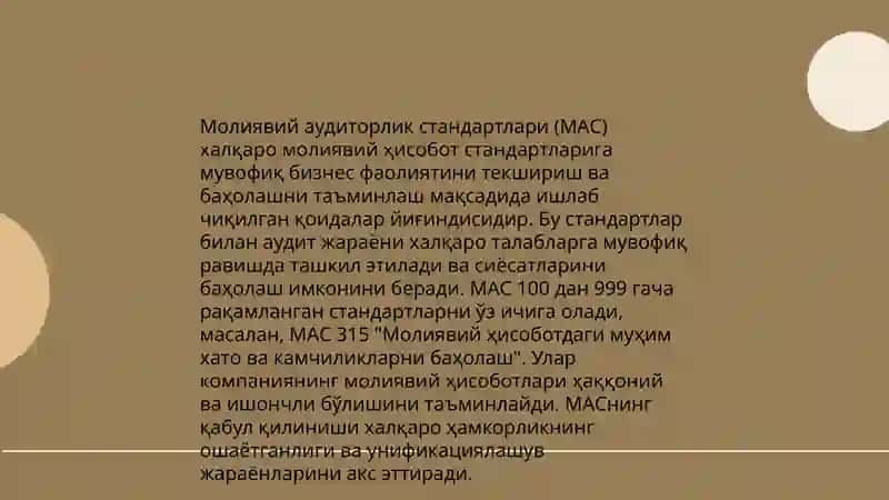Масьулияти чекланган жамиятларда молиявий натижалари аудити 4