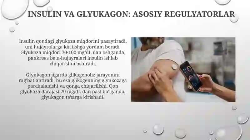Qonda glyukoza miqdorini boshqarilishi 4