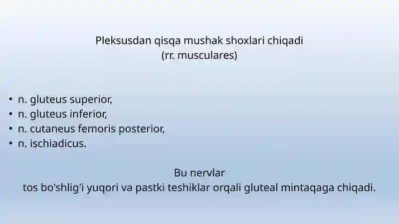 TOS ORGANLARI INNERVATSIYASI VA BUZILISH SINDROMLARI 4