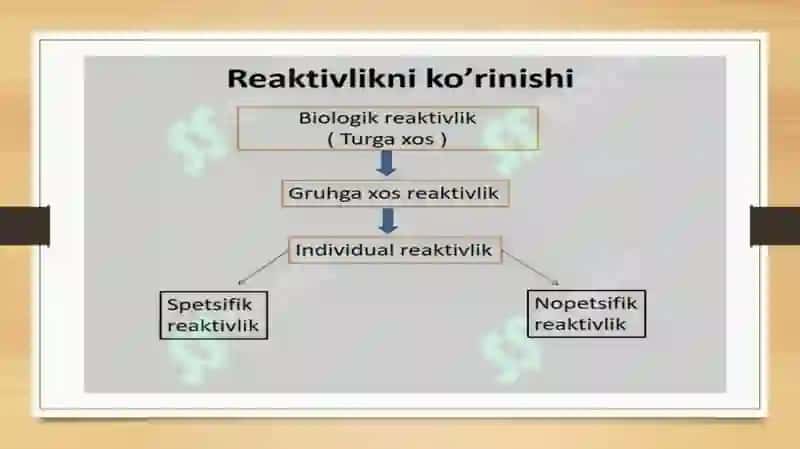 Reaktivlik va resiztenlikning shakllanishida nerv va endokrin sistemasi roli 4