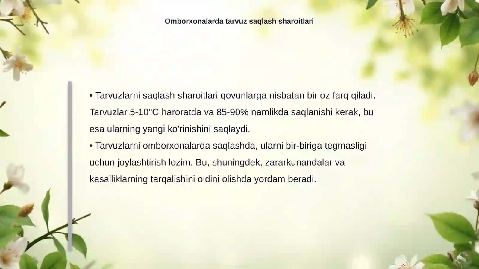 Omborxonalarda qovun va tarvuzni saqlash davridagi kasalliklar bilan tanishish 4