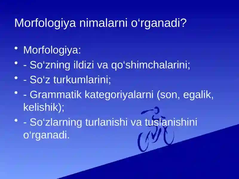 Morfologiya. So‘z turkumlari. Ot haqida umumiy tushuncha. Otlarda son kategoriyasi. Egalik qo‘shimchalari. 4