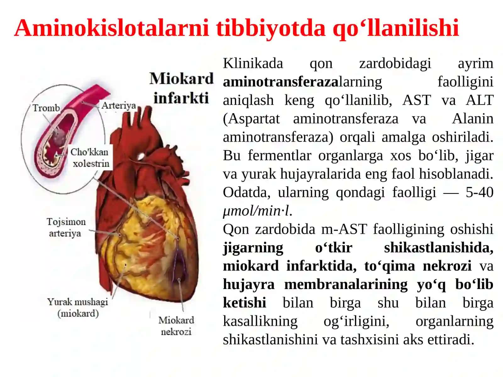 Aminokislotalar tuzilishi, xossalari. Peptidlar va oqsillar. Nuklein kislotalarning tuzilishi, klassifikatsiyasi va nomenklaturasi 4