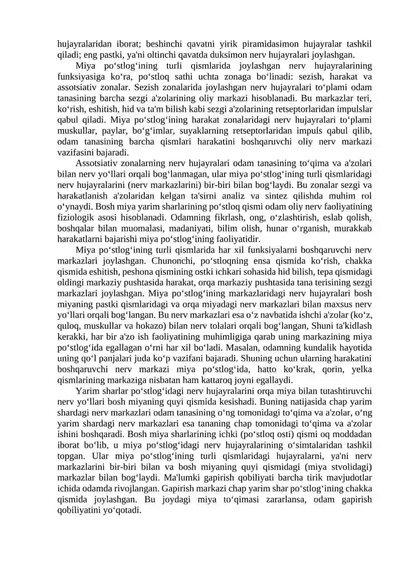 BOSH MIYA VA ORQA MIYA QOBIQLARI. ORQA MIYA. TUZILISHI VA O‘TKAZUVCHI TIZIMLARI 4