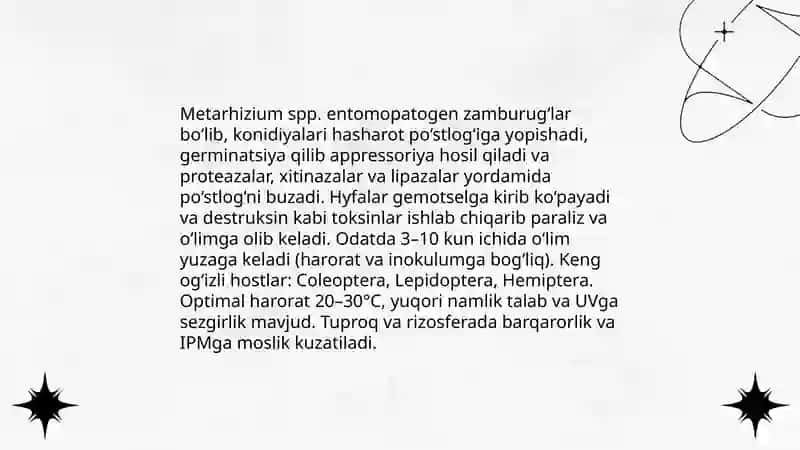 Entomopatogen zamburugʻlar: taʼrif, taksonomiya va asosiy turlar 4
