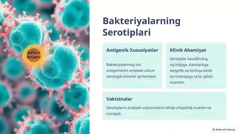 Bakteriyalarni Klassifikatsiyasi: Tur Ichidagi Variantlar 4