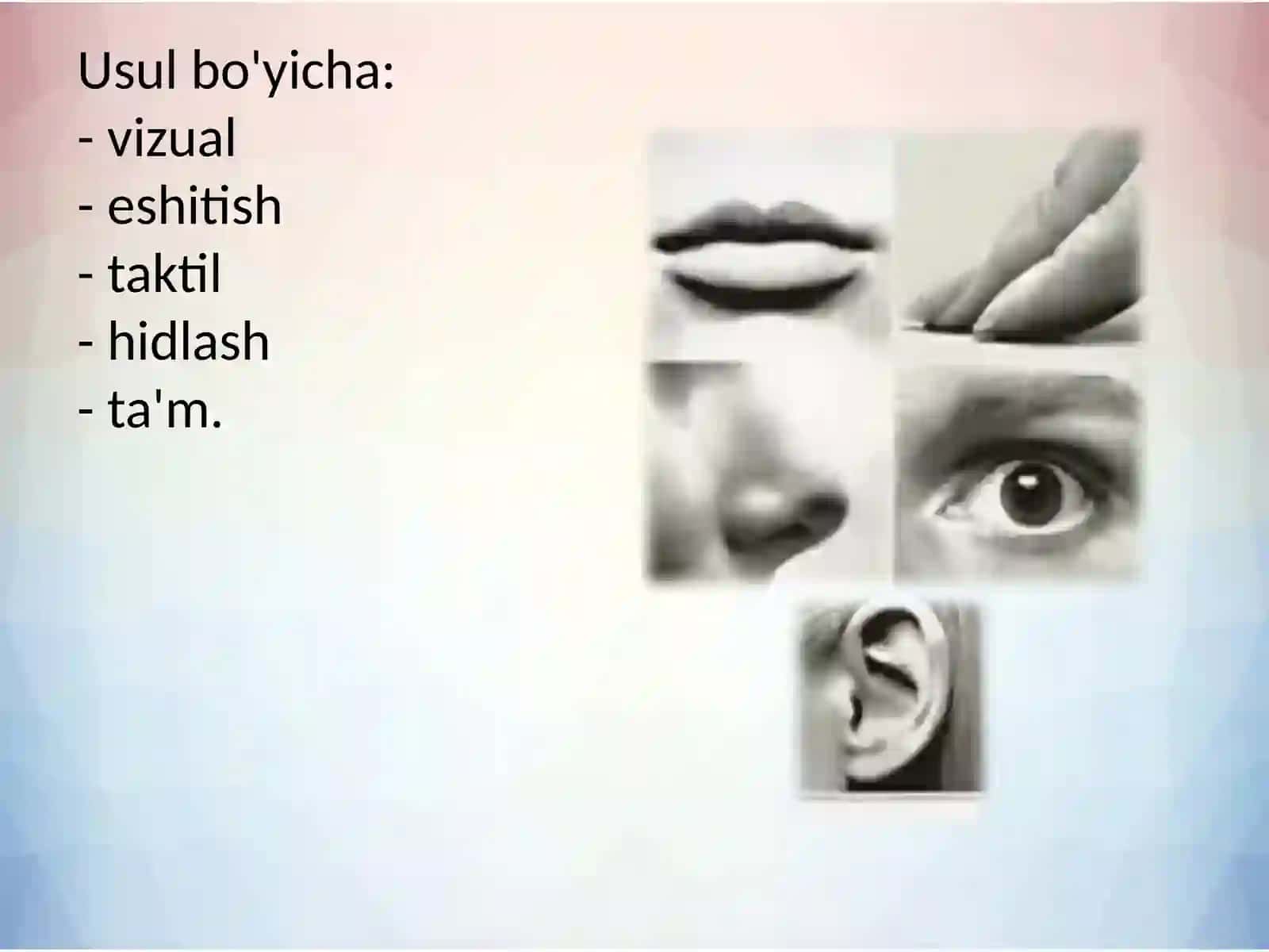 Sezgilarning umumiy qonuniyatlari va sezgirlik 4