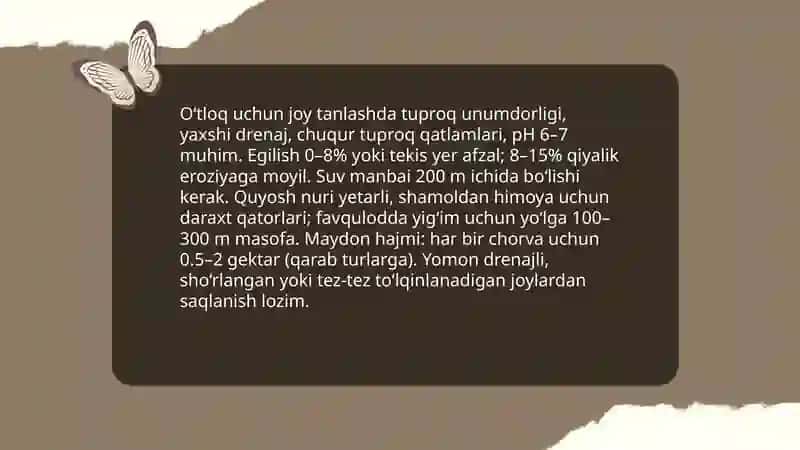Òtloqi mevachilik 4
