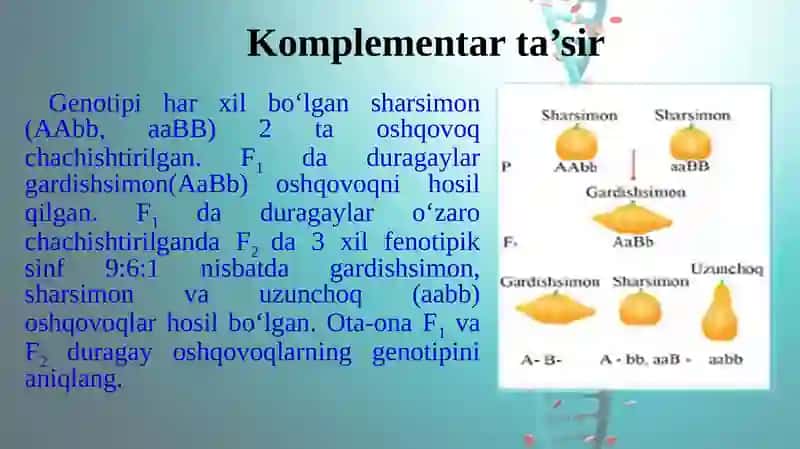 Noallel genlarning o`zaro ta`siri 4