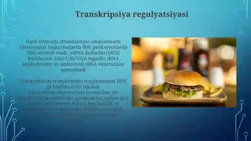 Oqsil biosintezi va uning genetik darajasidagi regulyatsiyasi 4