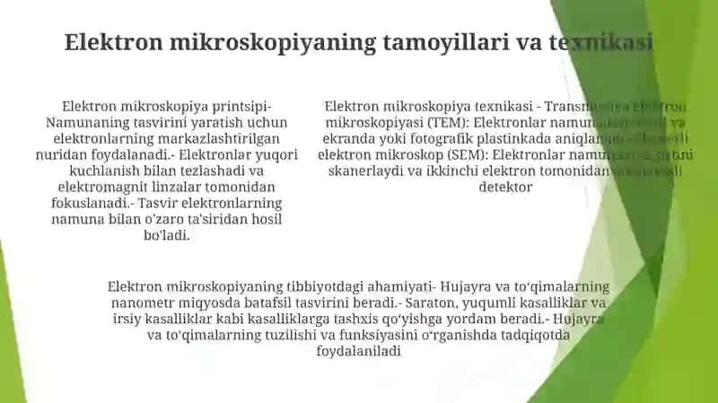 Elektron Mikroskopiya Usullarini Tibbiyotda Ahamiyati 4