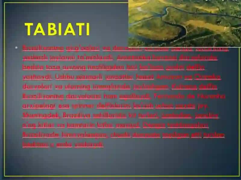 Braziliyada ta'lim tizimi 4