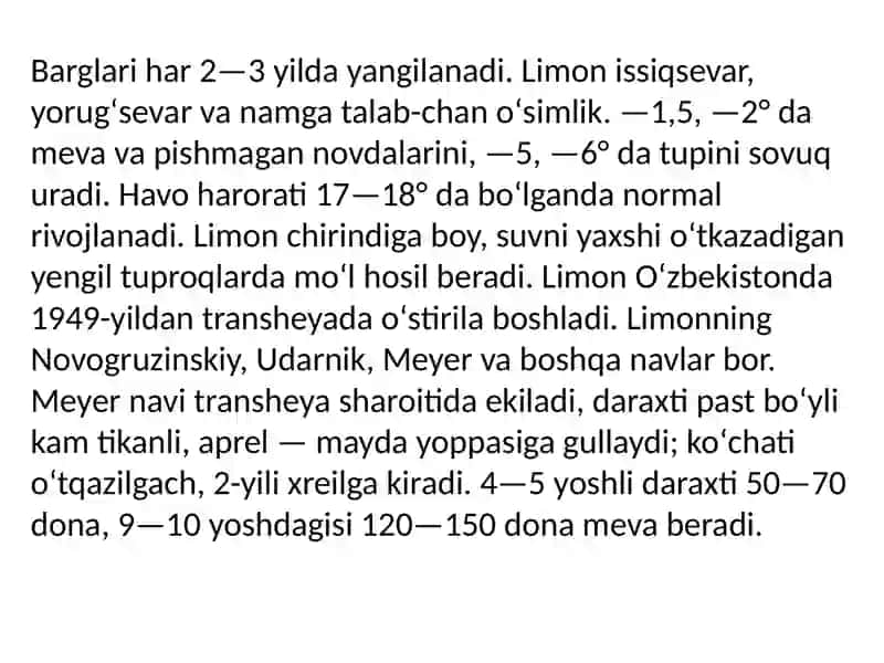 Limon koʻchatini yetishtirish 4