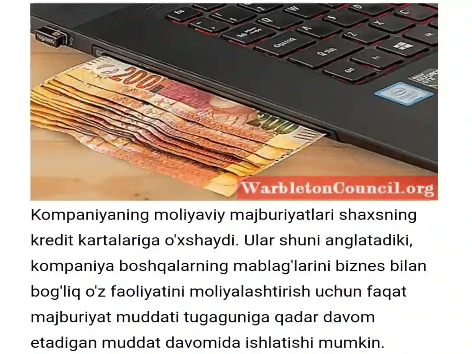Moliyaviy Majburiyatlar 4