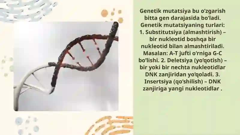 Mutatsiya va uning turlari 4