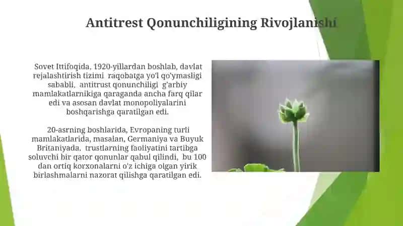 Zamonaviy Antitrest Muammolar va Kelajakdagi Yo'nalishlar 4