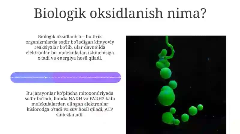 Biologik oksidlanish reaksiyalarida kislorod iste'moli 4